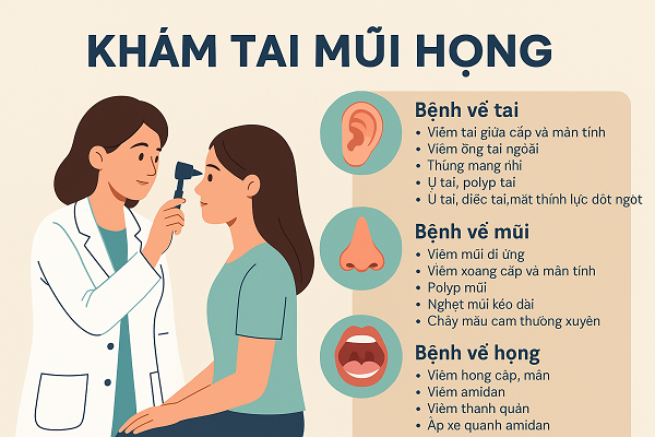 Điều Trị Các Bệnh Tai Mũi Họng: Hướng Dẫn Toàn Diện Từ Chuyên Gia