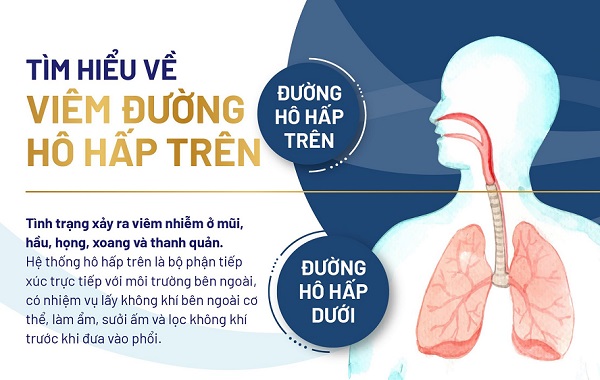Bệnh viêm đường hô hấp – Căn bệnh phổ biến nhưng không được chủ quan!